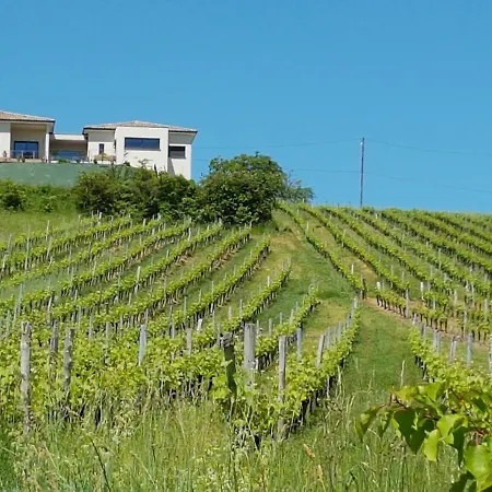 Gite Las Colina Rabastens Exterior foto